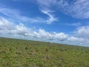 Fazenda para Venda em Feliz Natal/MT Zona Rural