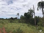 Fazenda para Venda em Figueirão/MS Centro 2 Quartos