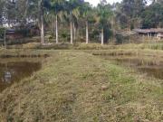 Fazenda para Venda em Formiga/MG Centro 4 Quartos