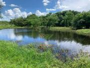 Fazenda para Venda em Goiânia/GO Setor Central 3 Quartos
