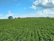 Fazenda para Venda em Guapé/MG Centro 7 Quartos