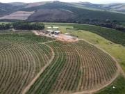Fazenda para Venda em Guapé/MG Zona Rural 1 Quartos