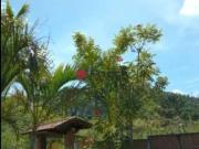 Fazenda para Venda em Guararema/SP Freguesia da Escada 5...