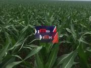 Fazenda para Venda em Guia Lopes da Laguna/MS Centro