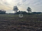 Fazenda para Venda em Içara/SC Zona Rural 2 Quartos
