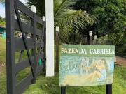 Fazenda para Venda em Ilhéus/BA Área Rural de Ilhéus 2...