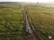 Fazenda para Venda em Itaituba/PA Área Rural de Itaituba...