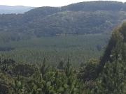 Fazenda para Venda em Itapetininga/SP Área Rural de...
