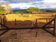 Fazenda para Venda em Itapetininga/SP Área Rural de...