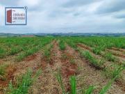 Fazenda para Venda em Itapetininga/SP Vila Mazzei