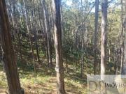 Fazenda para Venda em Itapirapuã Paulista/SP Centro