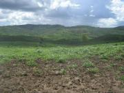 Fazenda para Venda em Itapira/SP Centro 10 Quartos