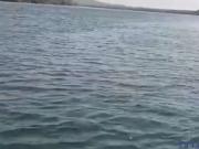 Fazenda para Venda em Itapiratins/TO ZONA RURAL