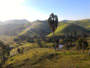 Fazenda para Venda em Jacareí/SP Área Rural de Jacareí 3...