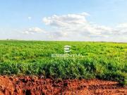 Fazenda para Venda em Jaciara/MT Zona Rural 4 Quartos