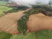 Fazenda para Venda em Jardinópolis/SP Zona Rural 1 Quartos