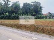 Fazenda para Venda em Joinville/SC Rio Bonito...