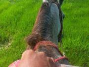 Fazenda para Venda em Juruena/MT Zona Rural