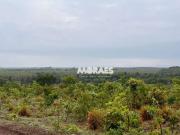 Fazenda para Venda em Lagoa do Tocantins/TO Setor Central