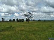 Fazenda para Venda em Limeira do Oeste/MG Zona Rural
