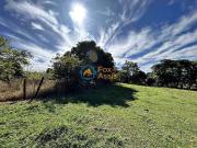 Fazenda para Venda em Limeira/SP Jardim Nova Limeira 5...