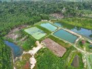 Fazenda para Venda em Manaus/AM Ponta Negra