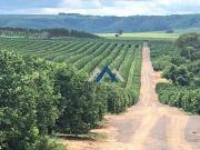 Fazenda para Venda em Marília/SP Área Rural de Marília 5...