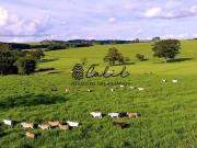 Fazenda para Venda em Marília/SP Avencas Avencas 4 Quartos