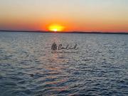 Fazenda para Venda em Miguelópolis/SP Centro 3 Quartos