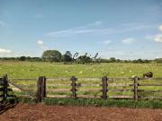 Fazenda para Venda em Miracema do Tocantins/TO Zona...