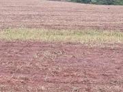 Fazenda para Venda em Montividiu/GO Zona Rural