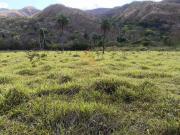 Fazenda para Venda em Natividade/TO Zona Rural 1 Quartos