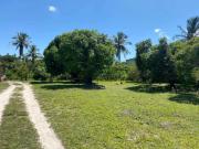 Fazenda para Venda em Nossa Senhora do Socorro/SE Marcos...