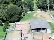 Fazenda para Venda em Nova Aurora/GO Zona Rural