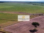 Fazenda para Venda em Nova Mutum/MT Acácia
