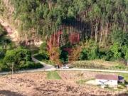 Fazenda para Venda em Paraibuna/SP Bairro do Cedro 4 Quartos