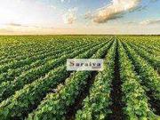 Fazenda para Venda em Paranapanema/SP Centro