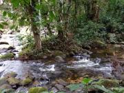 Fazenda para Venda em Paraty/RJ Ponte Branca