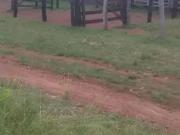 Fazenda para Venda em Peixe/TO Zona Rural