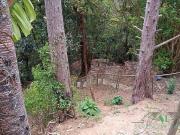 Fazenda para Venda em Petrópolis/RJ Araras 3 Quartos