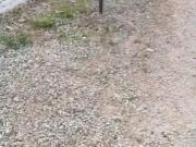 Fazenda para Venda em Piedade/SP Centro 6 Quartos