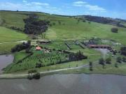 Fazenda para Venda em Pirassununga/SP Centro 5 Quartos