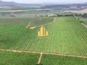 Fazenda para Venda em Piumhi/MG Zona Rural
