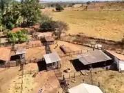 Fazenda para Venda em Pontalina/GO Zona Rural