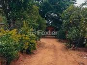 Fazenda para Venda em Porto Alegre/RS Restinga 3 Quartos
