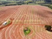 Fazenda para Venda em Pouso Alegre, rural