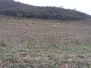 Fazenda para Venda em Pouso Alegre/MG Área Rural de...