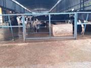 Fazenda para Venda em Pouso Alegre/MG Centro 3 Quartos