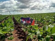 Fazenda para Venda em Poxoréu/MT Zona Rural
