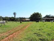 Fazenda para Venda em Prata, Zona Rural